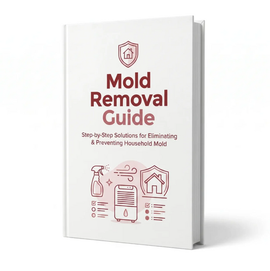 Mold Removal Guide